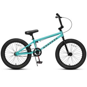 AVASTA Bacchus 子ども用16インチBMX自転車 初心者向き フリースタイルBMXバイク スチール製 子供練習用 高炭素鋼フレー