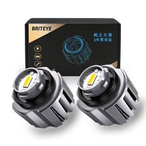 Briteye L1B LEDフォグランプ (L1B, イエロー)｜stationeryfactory