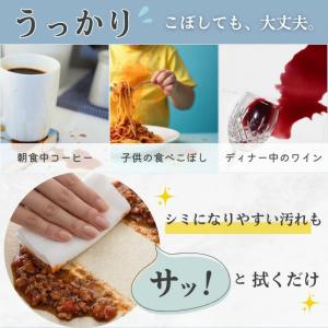 テーブルクロス 【こぼしても、拭くだけ。毎日の...の詳細画像1