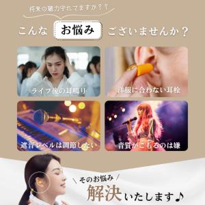 耳栓 ライブ用 コンサート 【音はそのまま、耳...の詳細画像1