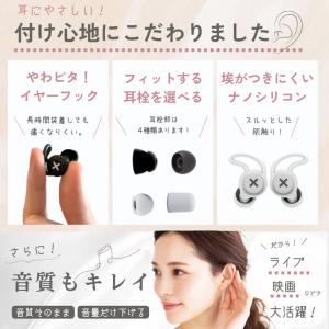 耳栓 ライブ用 コンサート 【音はそのまま、耳...の詳細画像4