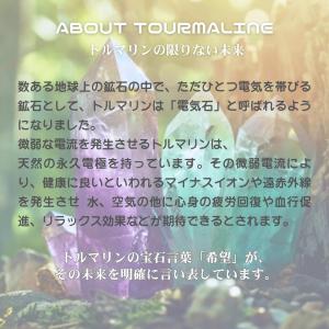 【特許】トルマリンハブラシ[1本入]TH-13...の詳細画像1