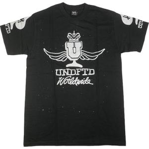 STUSSY ステューシー ×Undefeated Worldwide 2007 Tee BLACK/SILVER Tシャツ 黒 Size 【M】 【新古品・未使用品】 20791985｜stay246