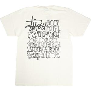 STUSSY ステューシー 24SS CALIF...の商品画像