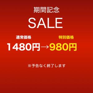 膝サポーター 高齢者 スポーツ 医療用 バネ ...の詳細画像1