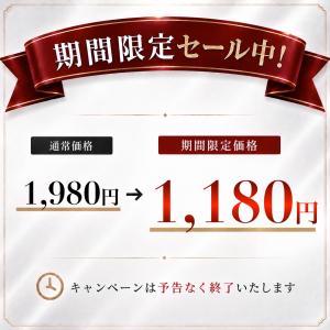イヤホン 有線 タイプc カナル型 マイク付き...の詳細画像1