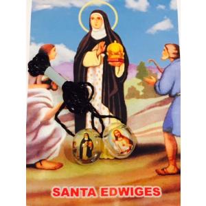 【メール便送料無料】エスカプラーリオ /ＳＡＮＴＡ　ＥＤＷＩＧＥＳ｜stcc