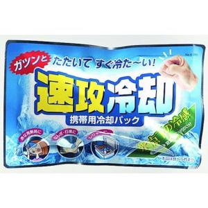 サイキョウファーマ」 瞬間冷却パックシロクマ 5個セット : 薬の