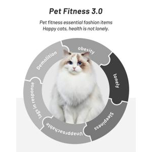 猫 キャットホイール 猫 室内猫 ランニングホ...の詳細画像2
