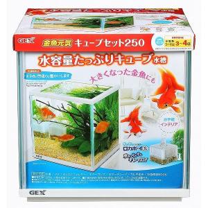 金魚 水槽 ガラスの商品一覧 通販 Yahoo ショッピング
