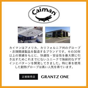 Caiman1324 カイマン Gold Sh...の詳細画像1