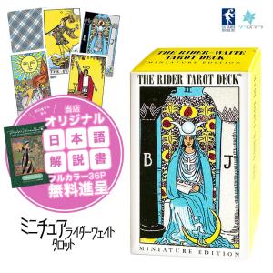 ニコレッタ チェッコリ タロット 日本語解説書付き タロットカード 78