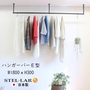 ハンガーバーE型 W1800H450 アイアンバー ハンガーパイプ 物干し