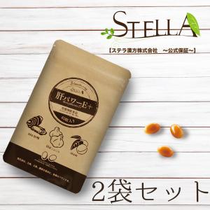 肝パワーEプラス2袋 牡蠣 亜鉛 にんにく 健康 サプリ サプリメント ステラ漢方公式保証｜stella-store