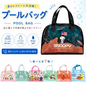 スヌーピー プールバッグ おさるのジョージ ビーチバッグ 女の子 男の子 キッズ 子供 大人 小学生 スイミング 海水浴 可愛い レッスンバッグ レディース メンズ