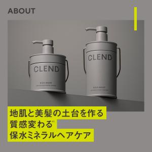 シャンプー 詰め替え トリートメント CLEN...の詳細画像2