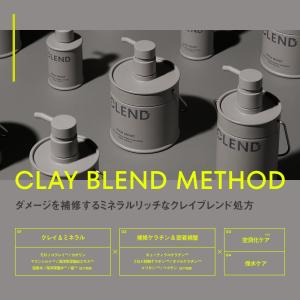 シャンプー 詰め替え トリートメント CLEN...の詳細画像4
