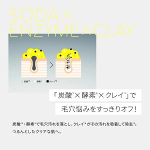 酵素洗顔パウダー ドットバスター DOT BU...の詳細画像4