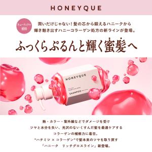 シャンプー 詰め替え ハニーク ディープリペア...の詳細画像1