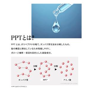 シャンプー トリートメント セット セカンドイ...の詳細画像4
