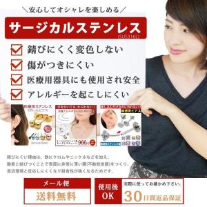 ピアス キャッチ のみ サージカルステンレス ...の詳細画像1