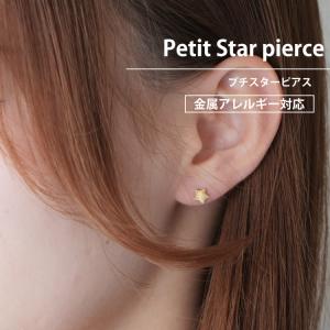 ピアス つけっぱなし サージカルステンレス 金...の詳細画像1