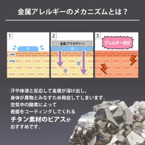 ピアス チタン ファースト セカンド 金属アレ...の詳細画像4