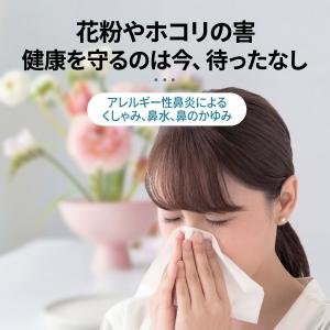 【花粉対策】鼻マスク ノーズマスク 鼻だけ 口...の詳細画像1