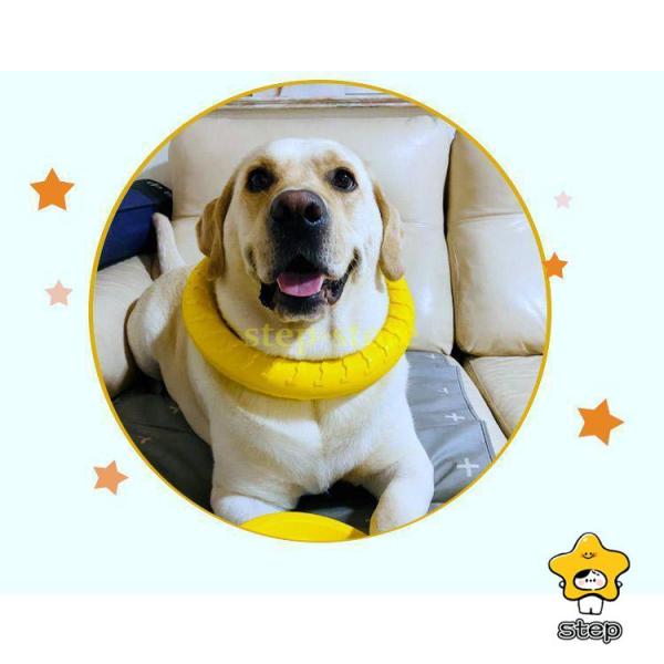 犬 犬用 おもちゃ 輪 リング 丈夫 頑丈 小型犬 中型犬 ペット ワンちゃん 散大型犬 遊び プレ...