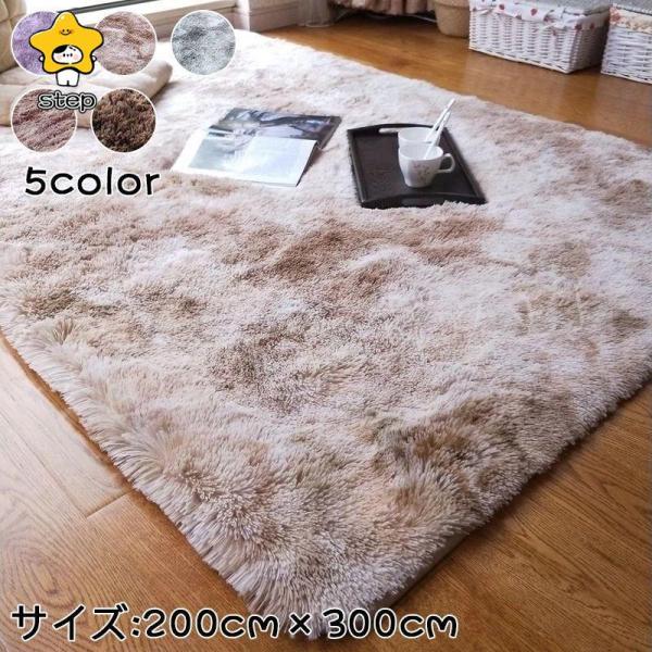 ラグ カーペット ラグマット 200×300 おしゃれ 洗える 厚手