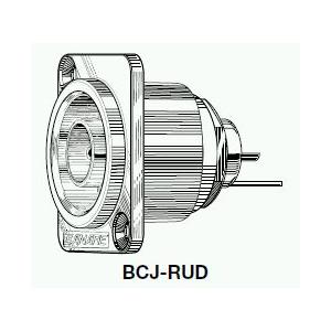 カナレ BCJ-RUD 20個入