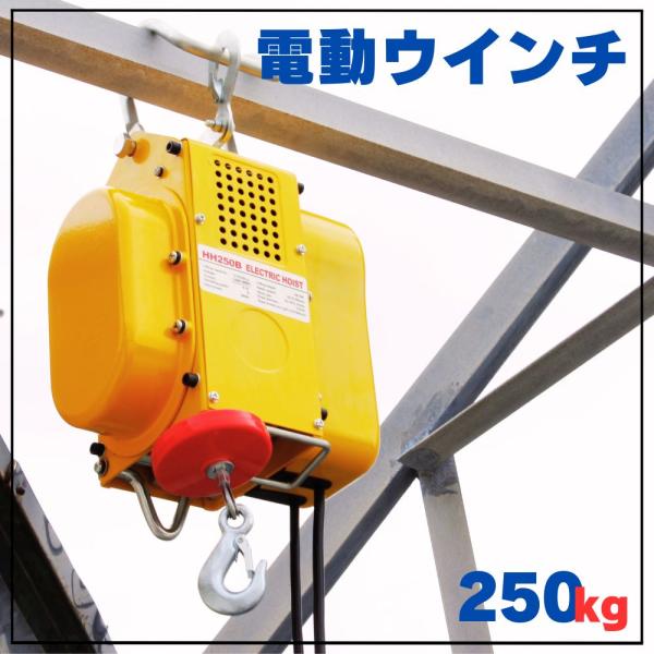 電動ウインチ ホイスト 最大能力250kg 家庭用 100V 送料無料