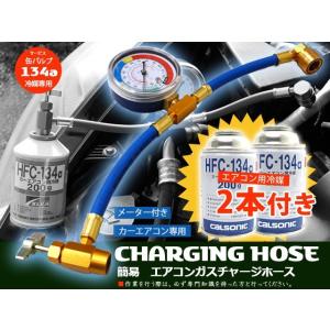 ガスチャージ ホース クーラーガス チャージホース 漏れ 充填 補充 クイックカプラー メーター付 ...