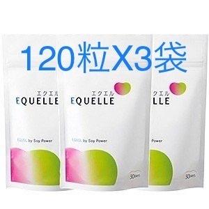 お得な３個セット エクエル パウチタイプ 大塚製薬 120粒Ｘ３袋セット