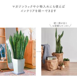 【最短当日発送】 鉢カバー 9号 25x39 ...の詳細画像3