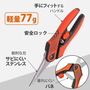 【最短当日発送】 芽切り鋏 芽切鋏 芽切りばさ...の詳細画像3