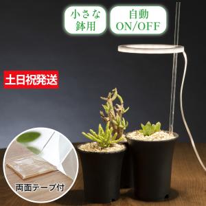 植物育成ライト タイマー led 多肉植物 観葉植物 スタンド おしゃれ