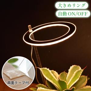 植物育成ライト led 太陽光 おしゃれ 取扱説明書付 スタンド 多肉植物 観葉植物 LED 植物育成 タイマー 太陽光 観葉植物育成ライト 多肉