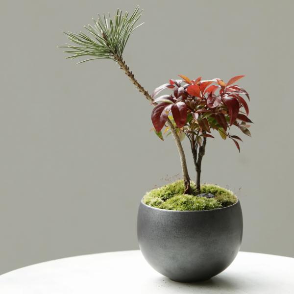 和モダン 植木鉢 3号 直径10x高さ7cm 3号 グレー 三河内焼 盆栽 和風 日本製 Leaf8...