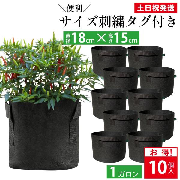 不織布プランター 1ガロン 10個 不織布ポット 6号 18 x 15 植木鉢 大型 フェルトプラン...