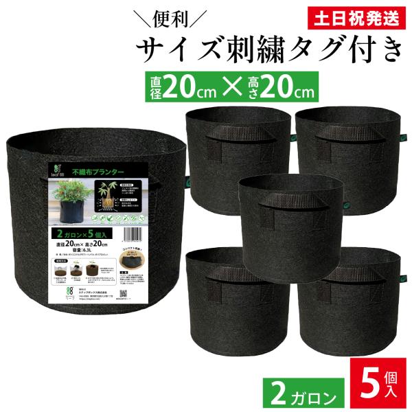 不織布プランター 2ガロン ５個 6.5号鉢 20x20 植木鉢 大型 軽量 深鉢 フェルト 布鉢 ...