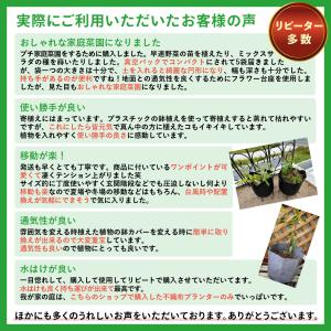 【最短当日発送】 不織布プランター 3ガロン5...の詳細画像5