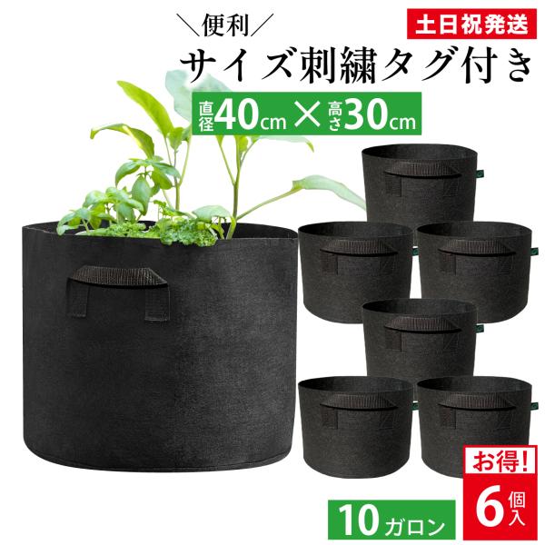 不織布プランター 10ガロン 6個 不織布ポット 14号 40x30 植木鉢 大型 軽い 軽量 深鉢...