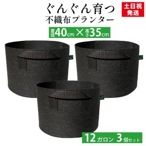 不織布プランター 12ガロン 3個 40x35cm 不織布ポット 14号 植木鉢 大型 軽い 軽量 深鉢 フェルト 布鉢 黒 家庭菜園 果樹 家庭菜園 ベランダ菜園