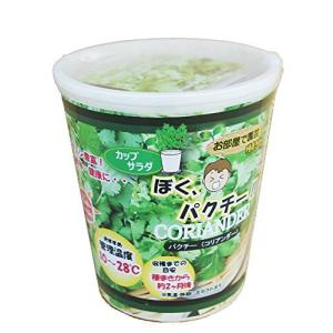 フォレスト カップサラダ ぼくパクチー コリアンダー パクチー