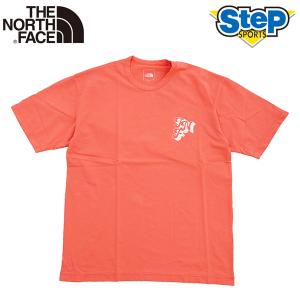 ノースフェイス ランニングウエア ショートスリーブフリーランネイティブクルー NT12291-CS THE NORTH FACE S/S Free Run Native Crew メンズ Tシャツ