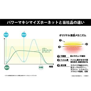 パワーマキシマイズ ホーネット POWER M...の詳細画像3