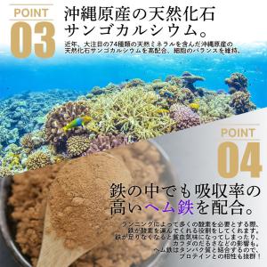 1kg スラッシュ ランナープロテイン SRA...の詳細画像5