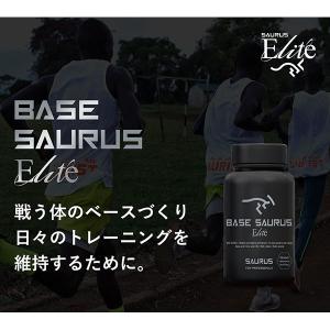 AMINO SAURUS アミノサウルス ベー...の詳細画像3