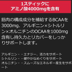 箱売り AMINO SAURUS アミノサウル...の詳細画像2